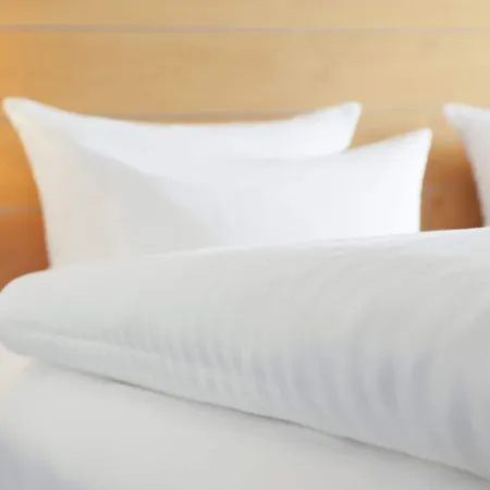 Dorint Parkhotel 4*